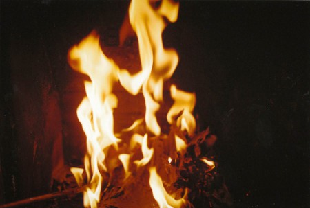 Réunion de famille (15)