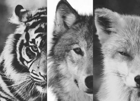 Les morts doivent rester morts (28)