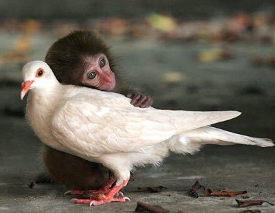 La fin n'est que le commencement d'une nouvelle chose...